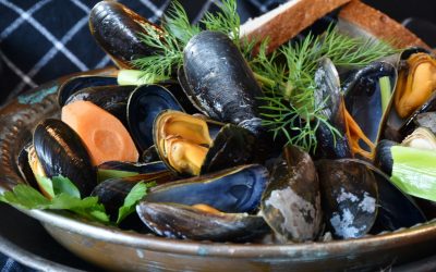 mussels 3148452 1920 400x250